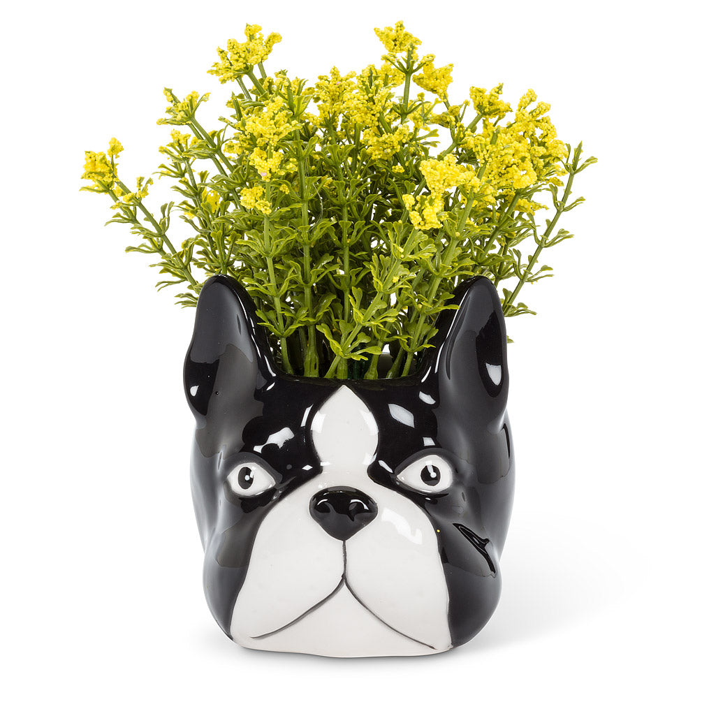 boston terrier succulent planter Dog Head Planter