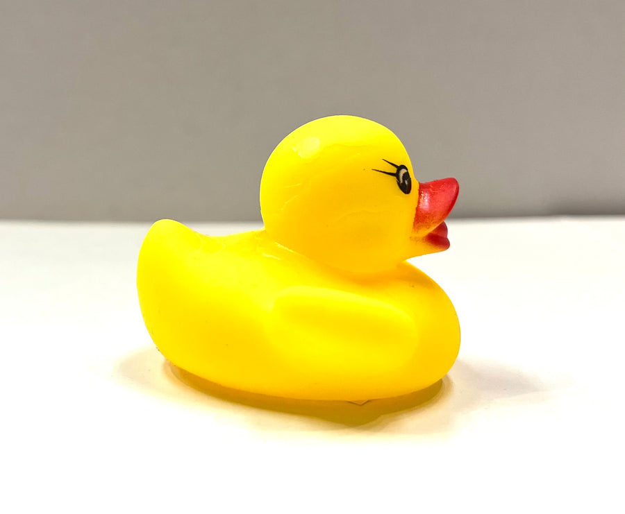 Rubber Duckie