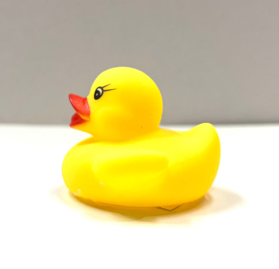 Rubber Duckie