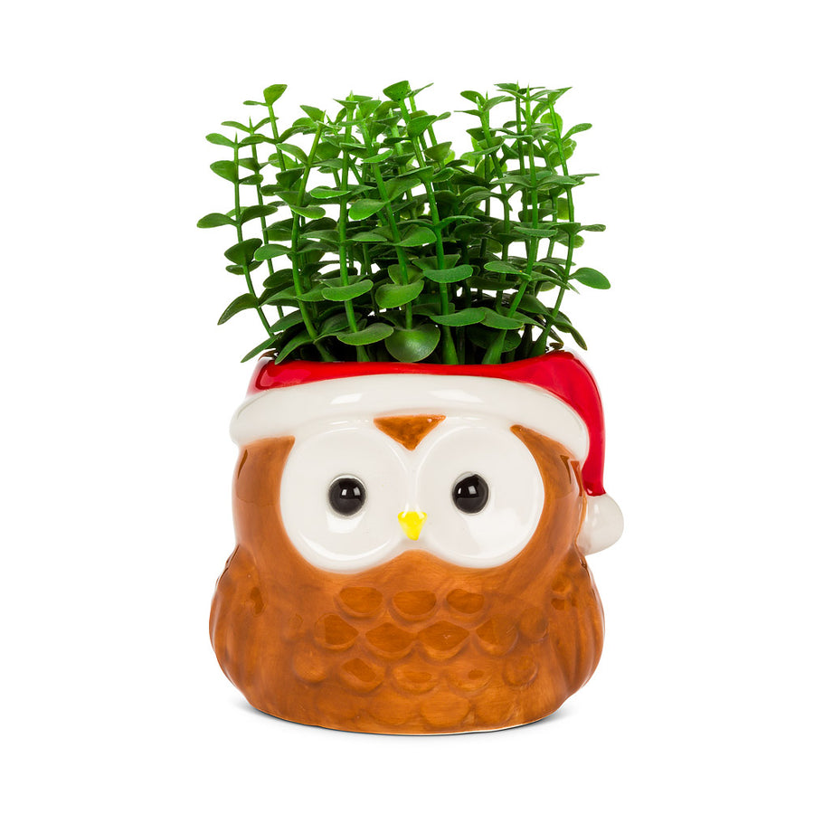Owl Planter with Santa Hat