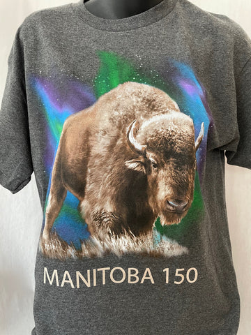 Bison with Northern Light Show Charcoal Heather Tee