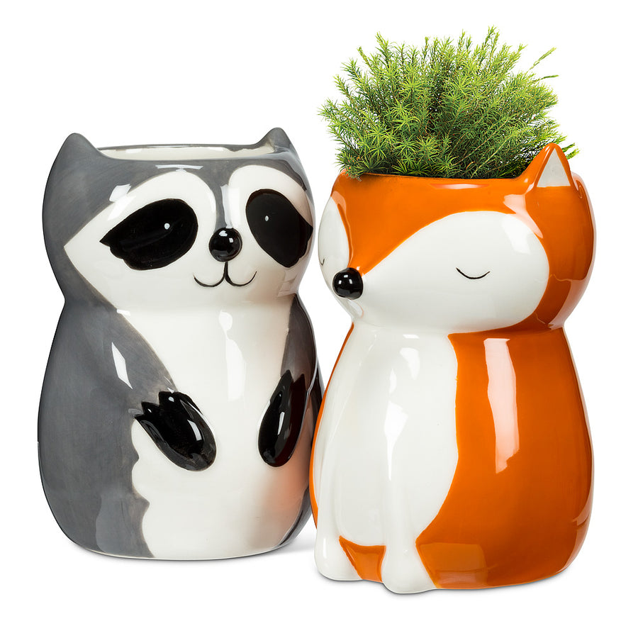 Raccoon Vase/Planter