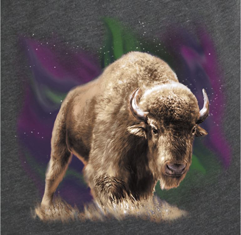 Bison with Northern Light Show Charcoal Heather Tee
