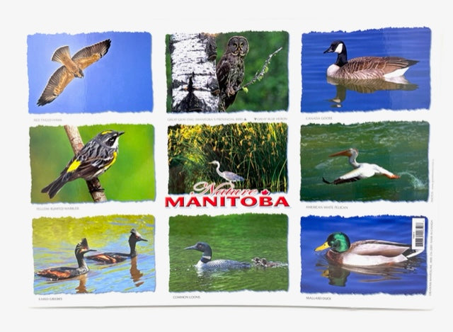 Manitoba Wildlife Laminated Placemats