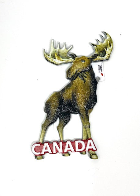 Moose Canada Bottle Opener Magnet