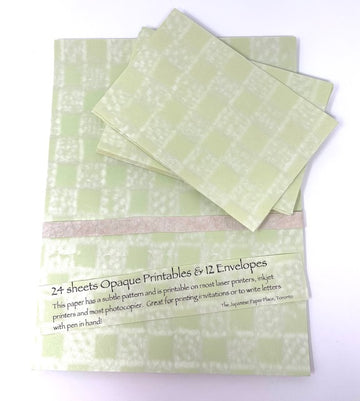 Pearlescent Opaque Japanese Paper and Envelopes Stationery Set