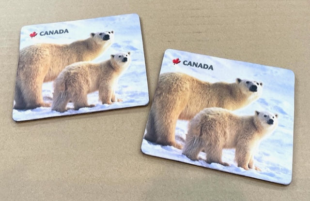 Polar Bear Coasters Set (set of 2)